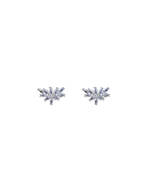 Stud Earrings