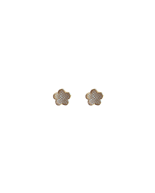 Stud Earrings