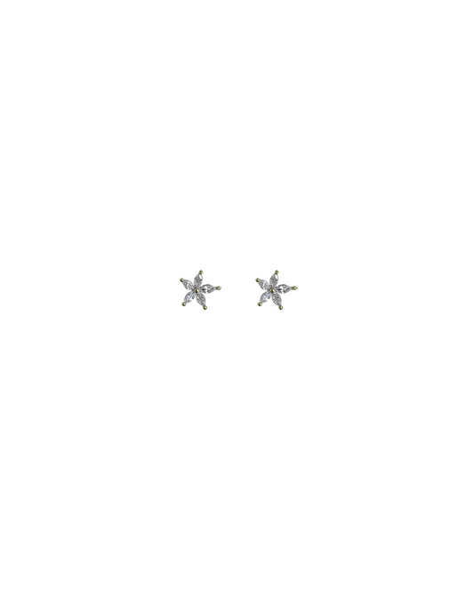 Stud Earrings