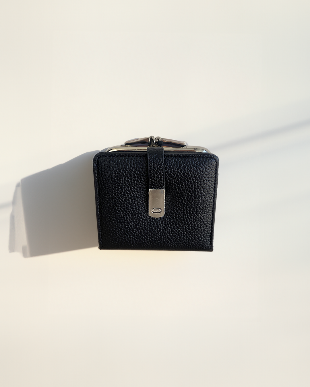 Wallet -5517
