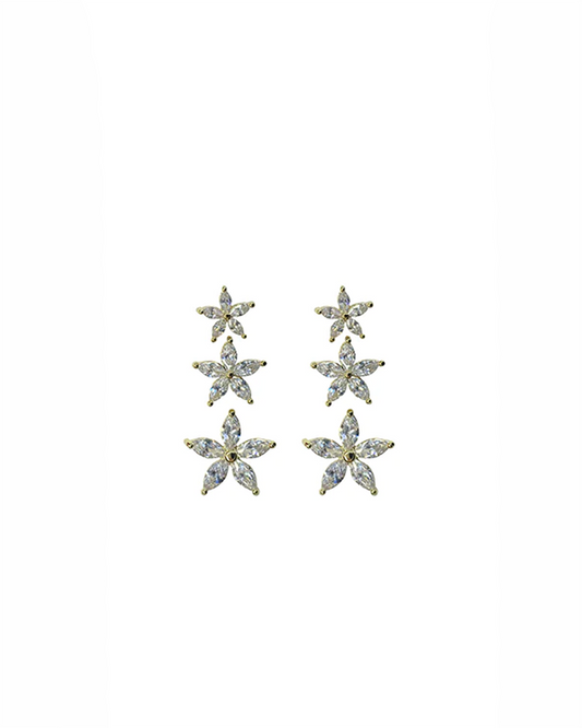 Stud Earrings Set