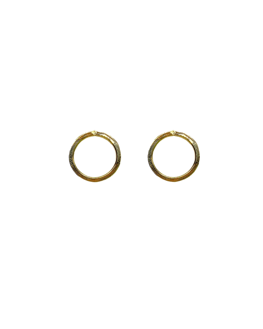 Stud Circle Shaped Earrings