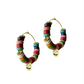 Colored Hoops Earrings