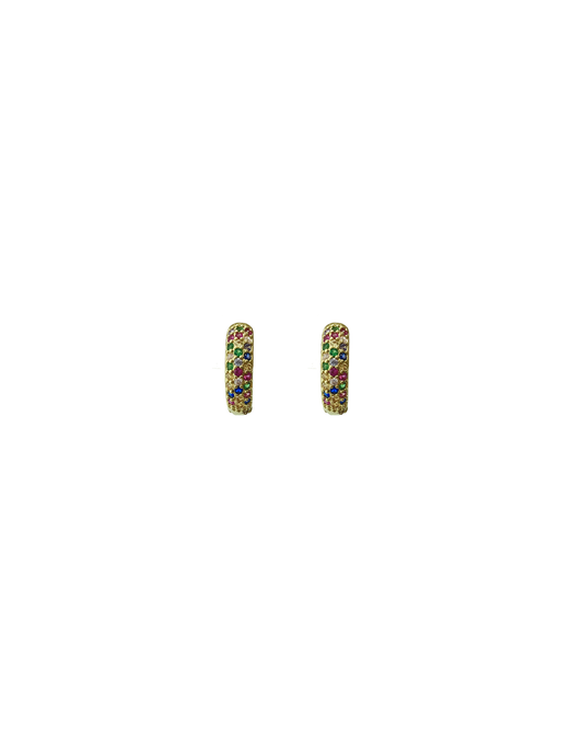 Huggie Earrings