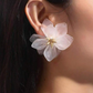 Stud Earrings