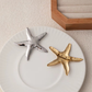 Starfish Broch