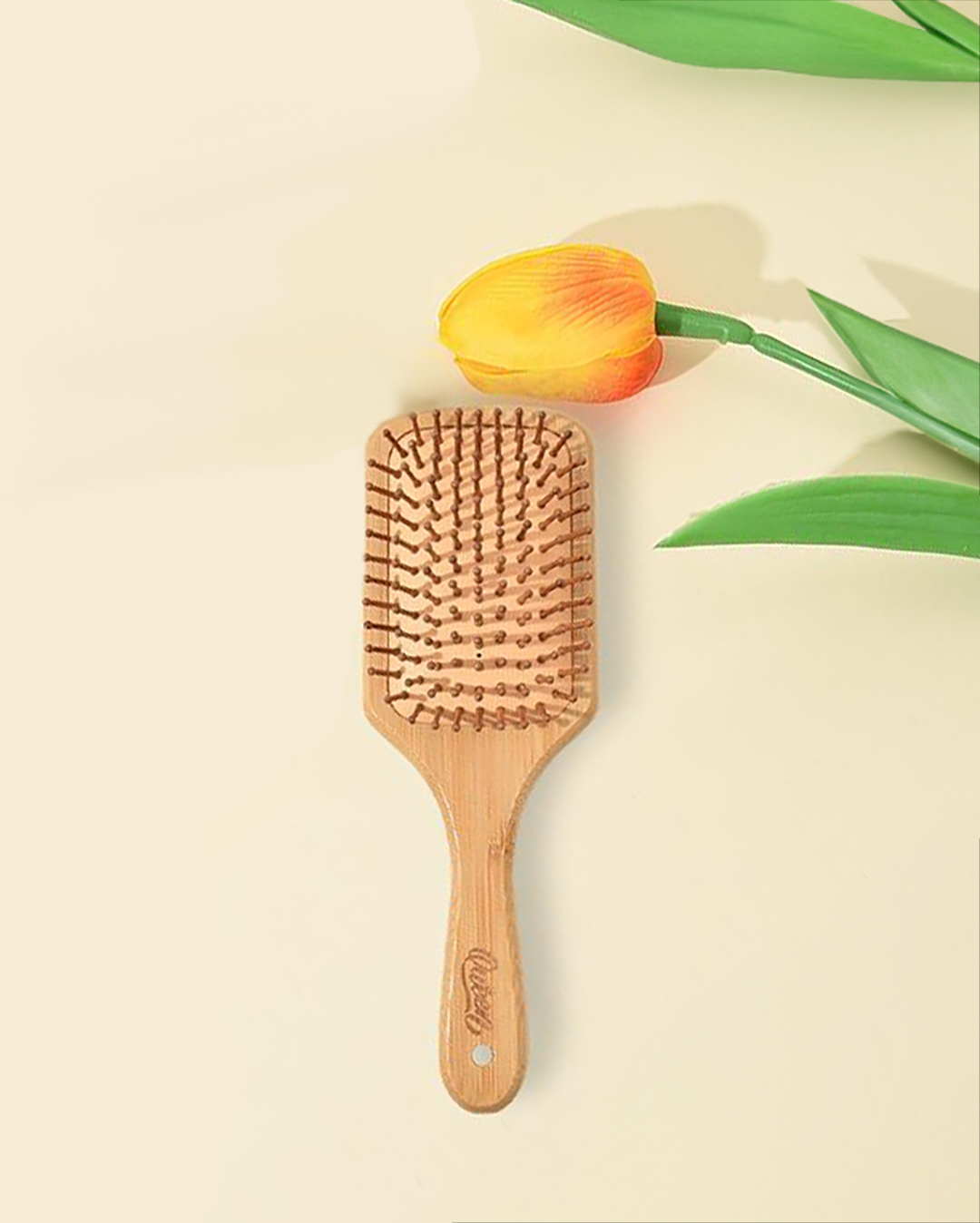 Hair Brush