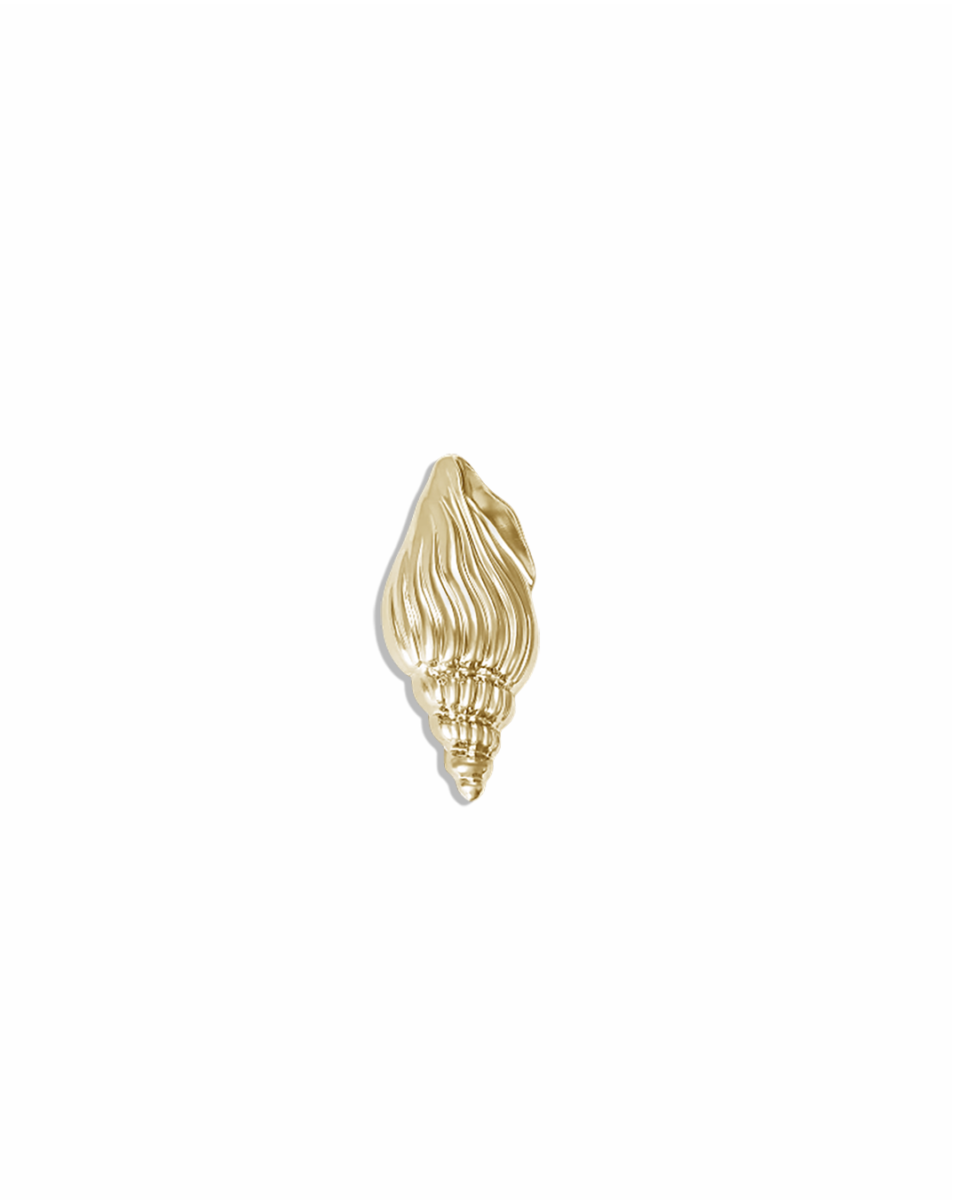 Seashell Broch