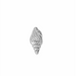Seashell Broch