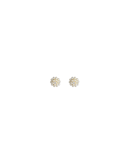 Stud Earrings