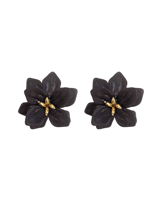 Stud Earrings