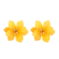 Stud Earrings