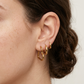 Hoops Earrings Set