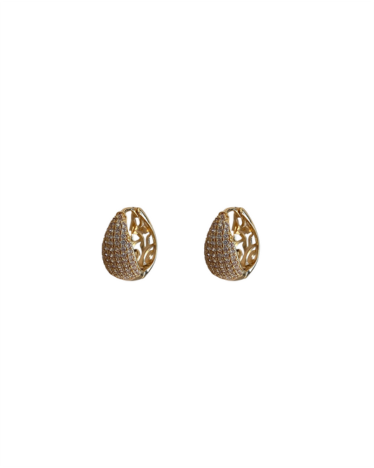 Hoops Earrings