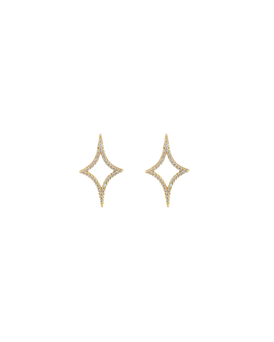 Stud Earrings